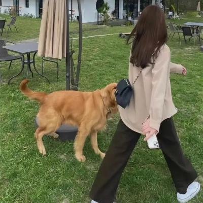 心碎的孩子